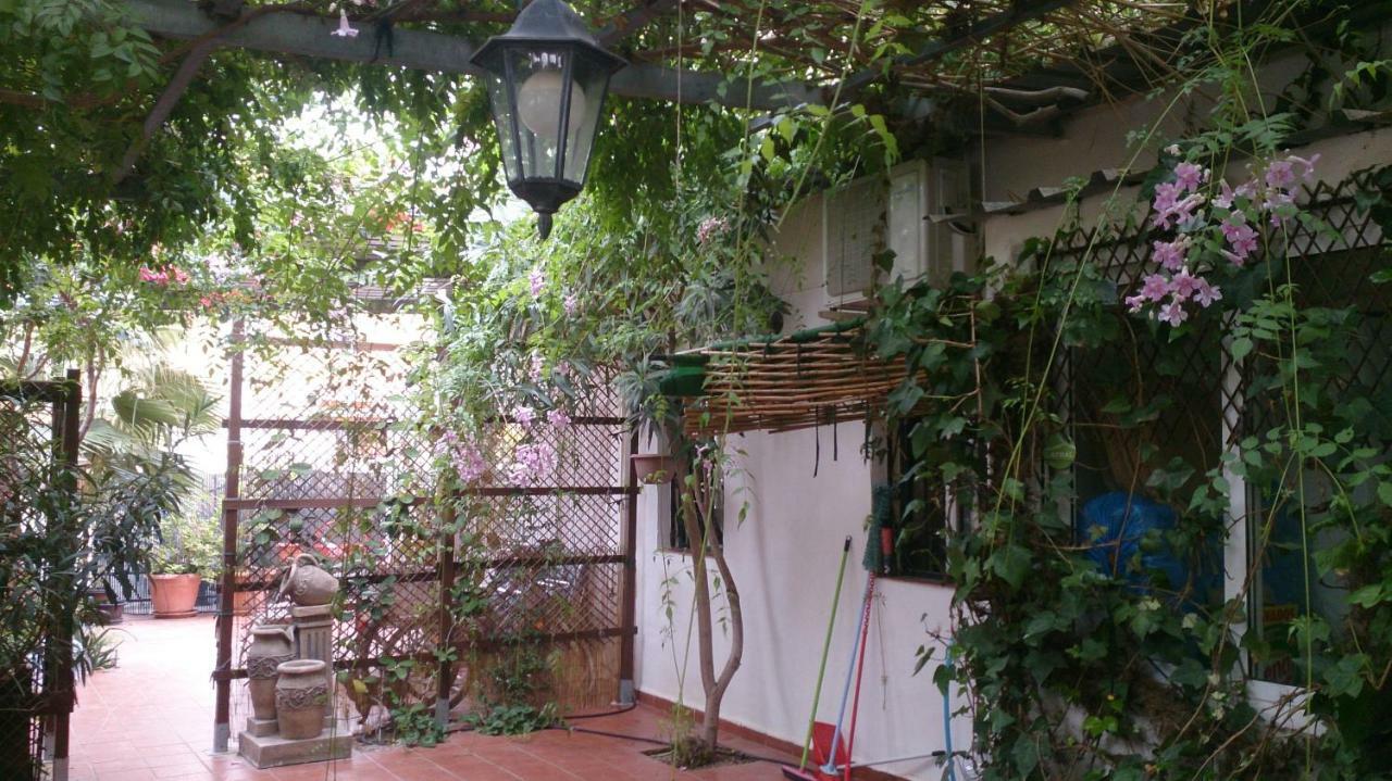 Madamme Curie Appartement Torrevieja